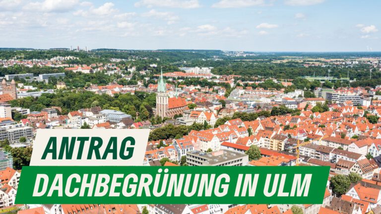 Konzept für die Durchsetzung der Dachbegrünung im Stadtgebiet Ulm