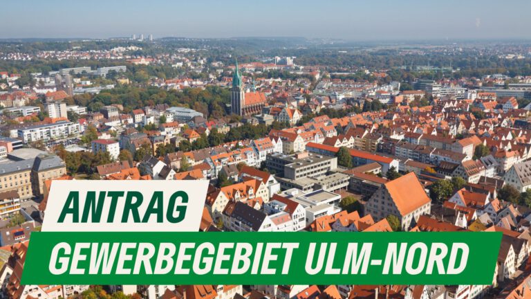 Müllsituation im Gewerbegebiet Ulm-Nord und Containerbahnhof