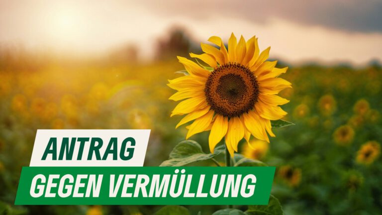 Maßnahmen gegen Vermüllung des öffentlichen Raums