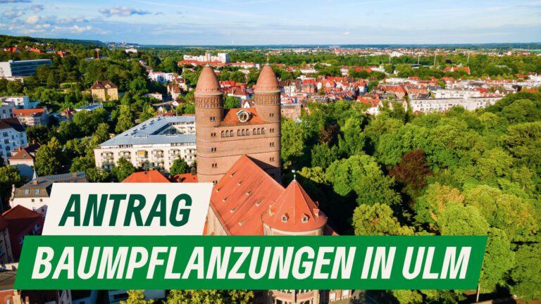 Baumpflanzungen in der Stadt