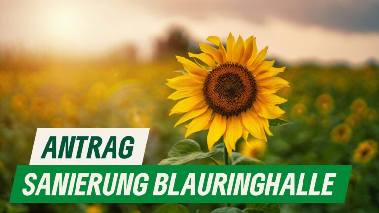 Sanierung der Blauringhalle